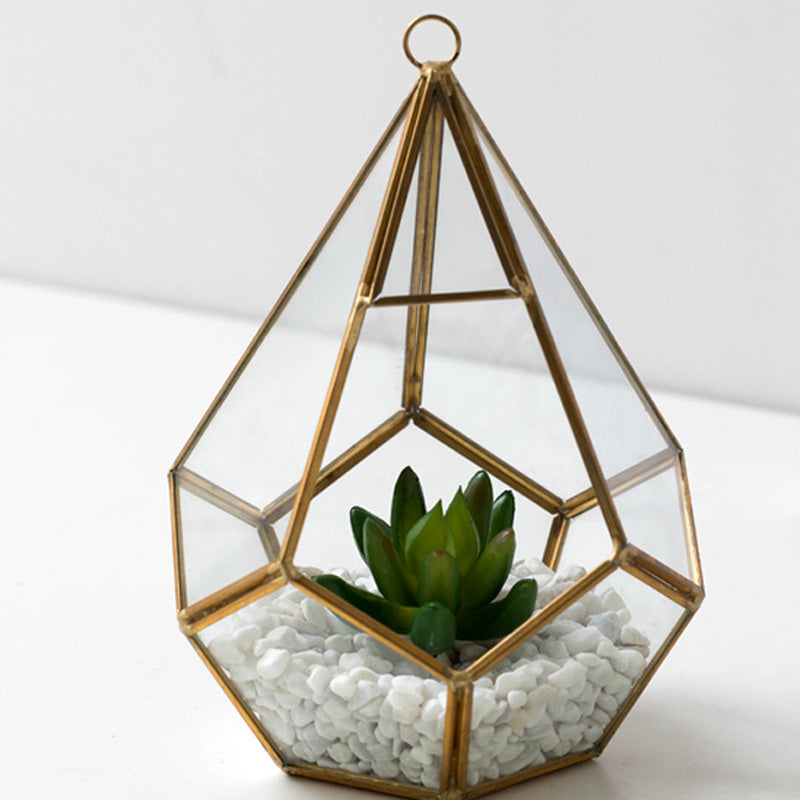 Home Succulent Decoration: Bonsai-Inspired Beauty for Tranquil Living 